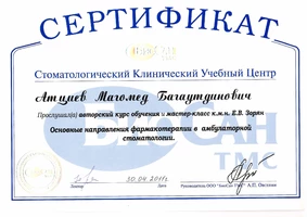 Атциев Магомед Багаутдинович — 11
